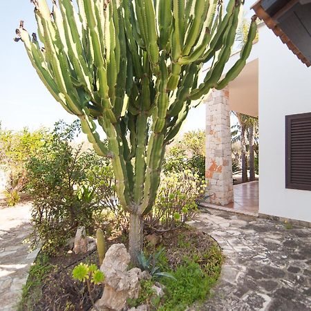 Villa Rose Marina di Mancaversa Dış mekan fotoğraf