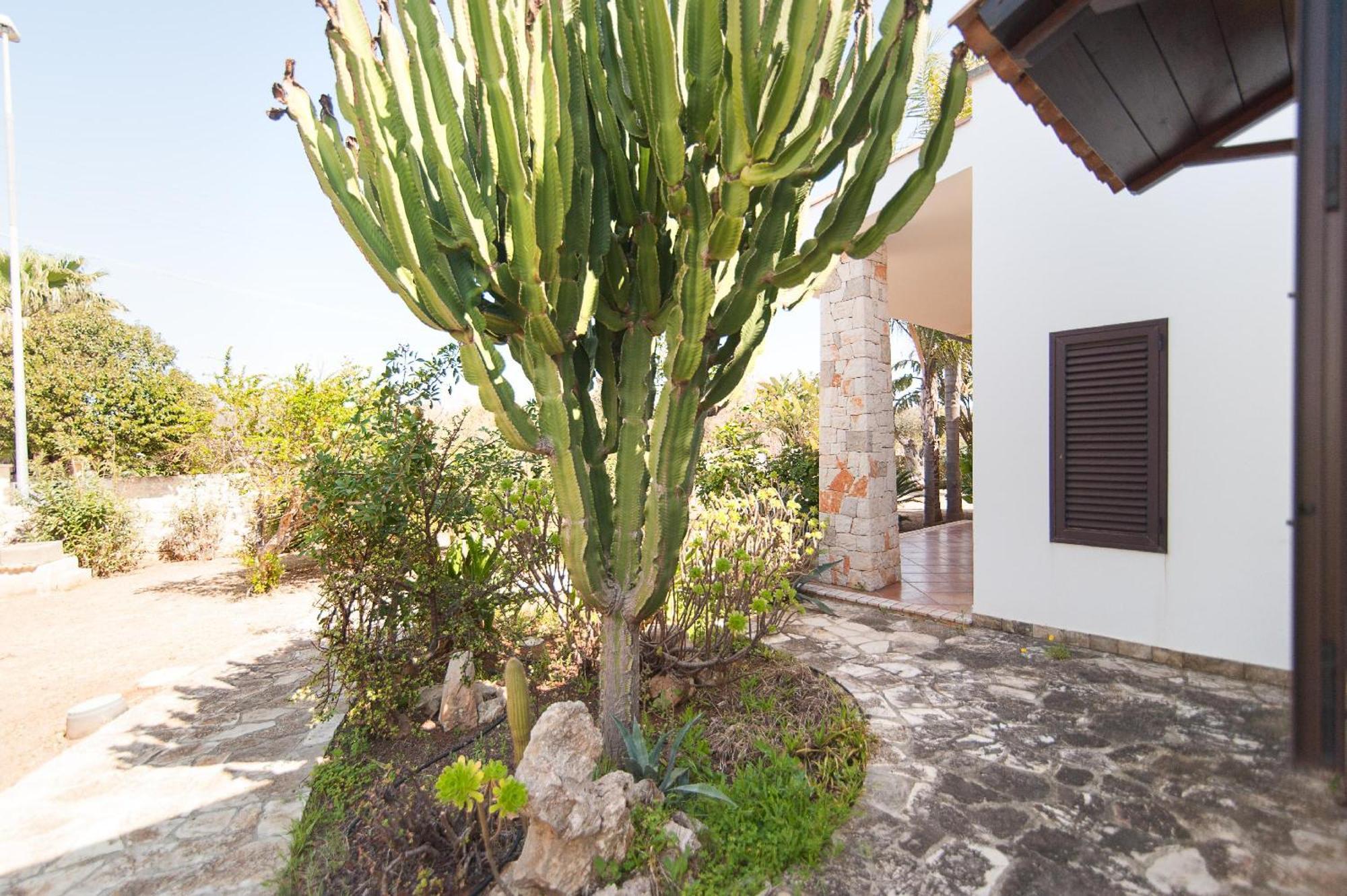 Villa Rose Marina di Mancaversa Dış mekan fotoğraf
