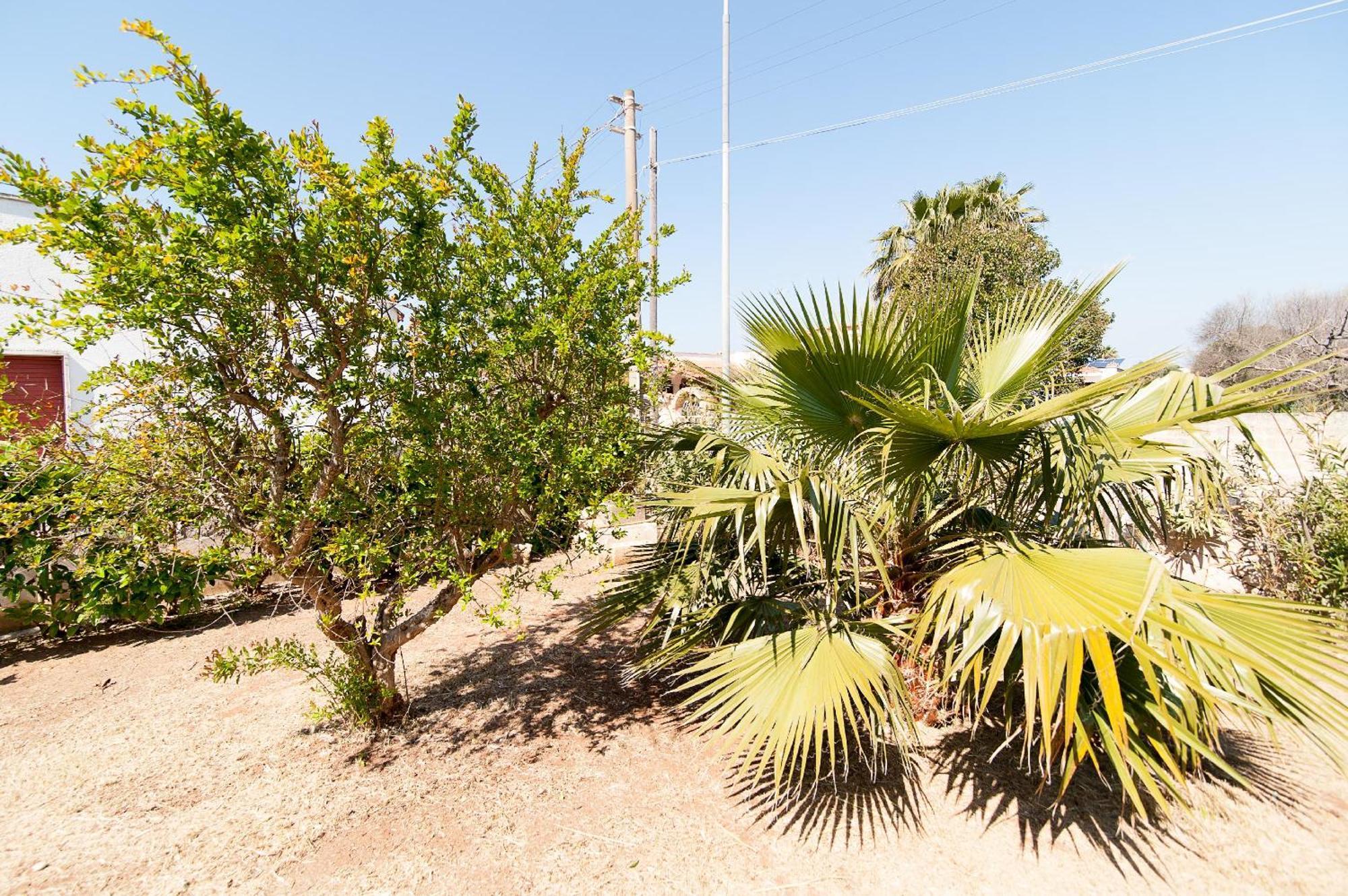 Villa Rose Marina di Mancaversa Dış mekan fotoğraf